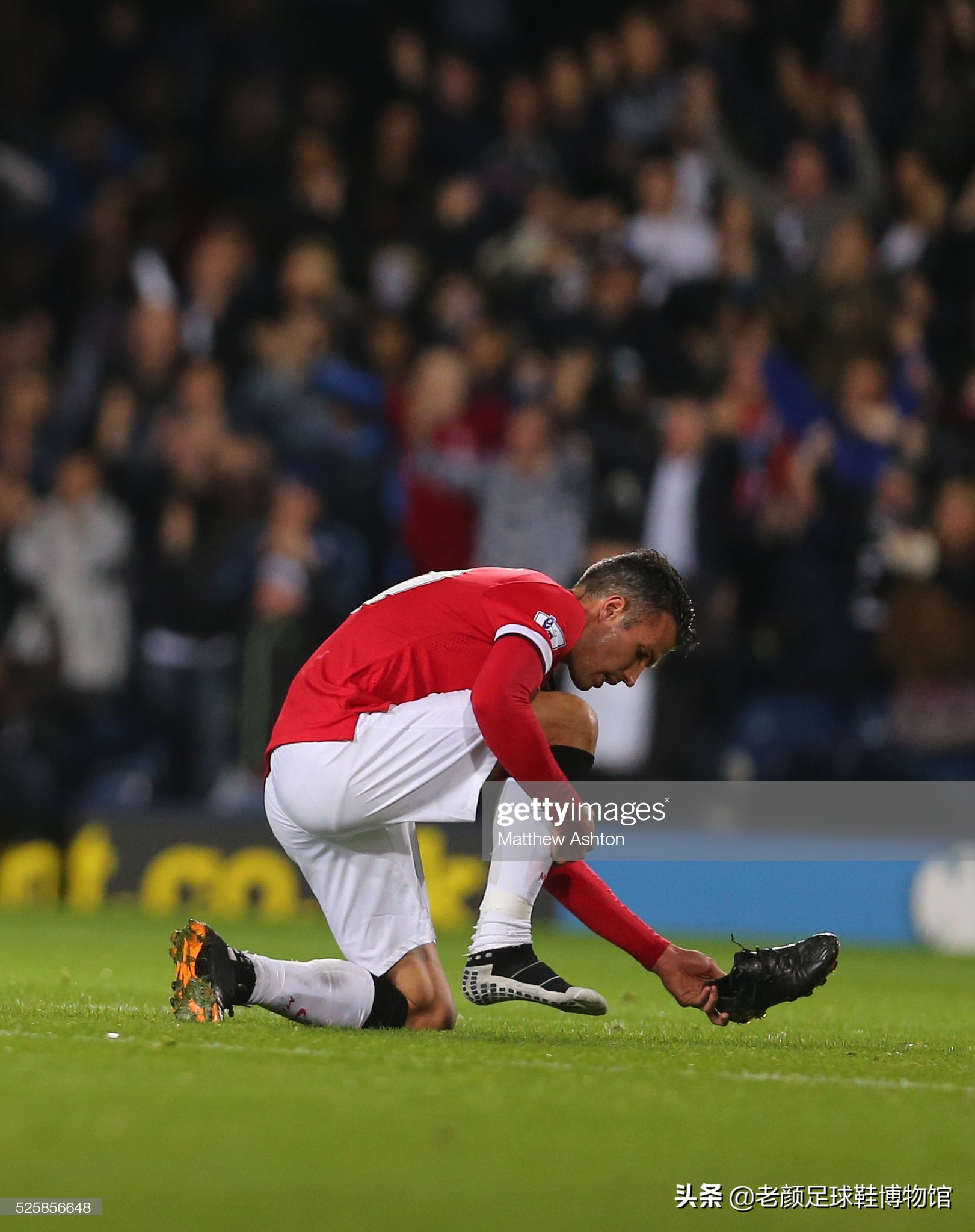 可以增强球 可以增强球