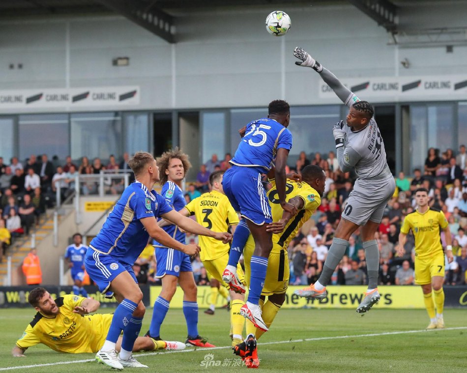 可以看出 可以看出