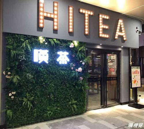 绿茵体育